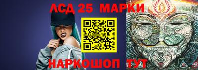 a pvp Камышлов