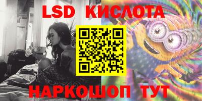 a pvp Камышлов