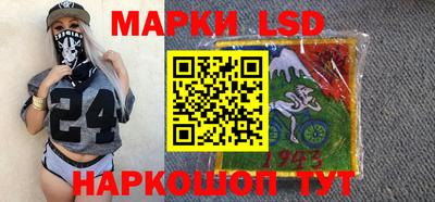 a pvp Камышлов