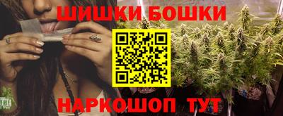 a pvp Камышлов