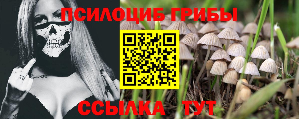 Красноярск  Галлюциногенные грибы мухоморы  Вход с VPN  наркота  Псилоцибиновые грибы ЛСД 